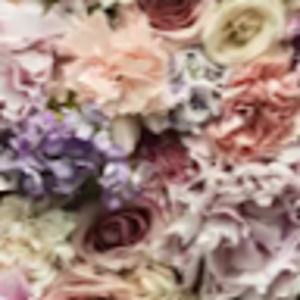 Meet your Posher, Willa